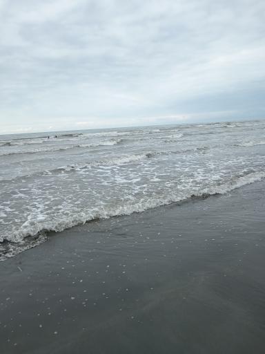 عکس ساحل بندر انزلی