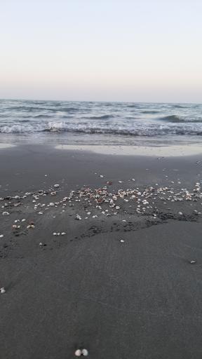 عکس ساحل بندر انزلی