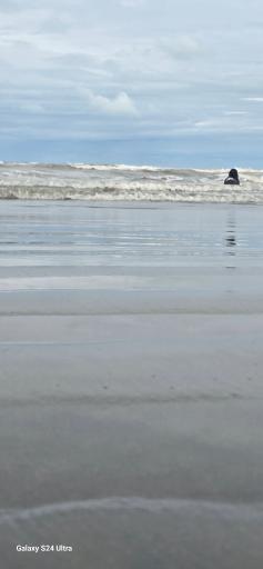 عکس ساحل بندر انزلی