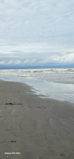 عکس ساحل بندر انزلی