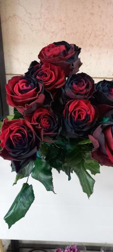 عکس گل فروشی آقای گل