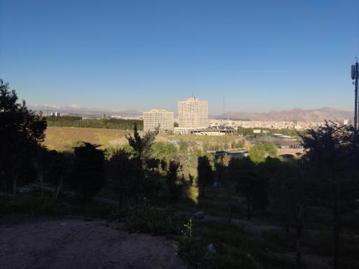 بام آرژانتین