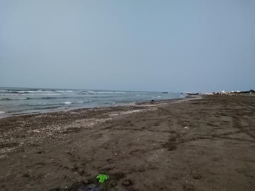 عکس ساحل بندر انزلی