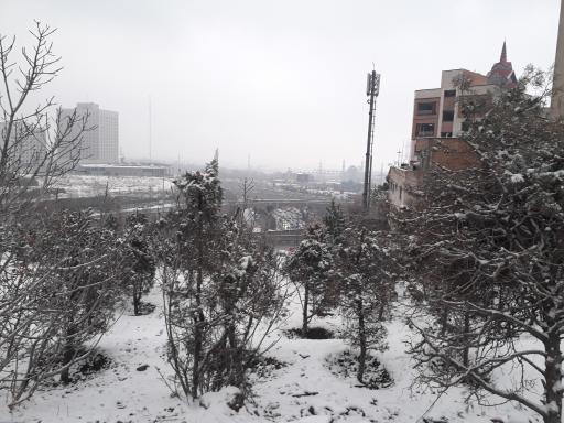 بام آرژانتین