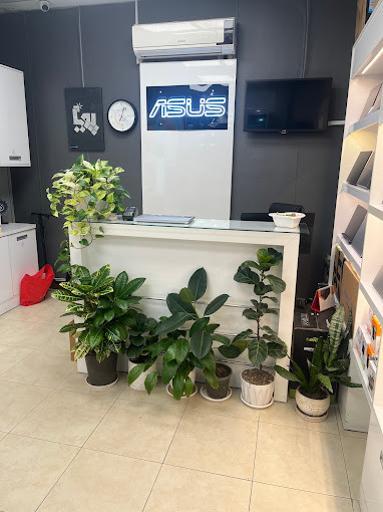 عکس پویا سیستم (نمایندگی ایسوس گیلان)