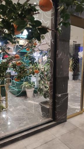 عکس کافه رستوران نیاگارا