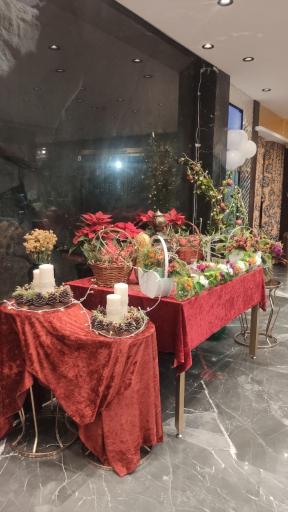 عکس کافه رستوران نیاگارا