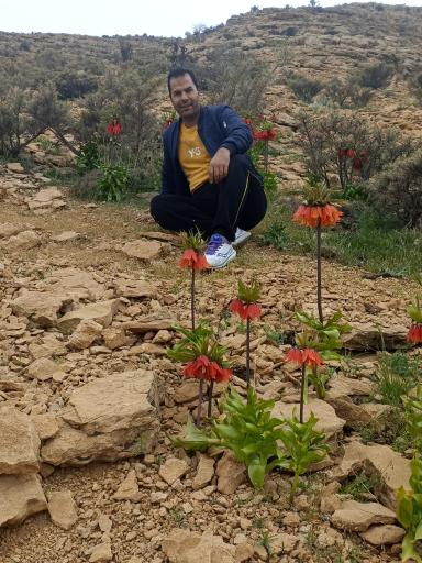 عکس گردنه شول