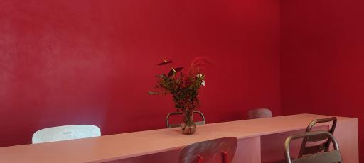 عکس سالاد تک