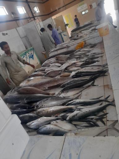 عکس بازار ماهی فروشان