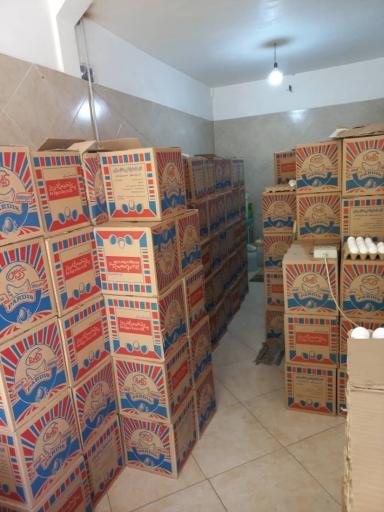 عکس پخش مرکزی تخم مرغ(شعبه2)