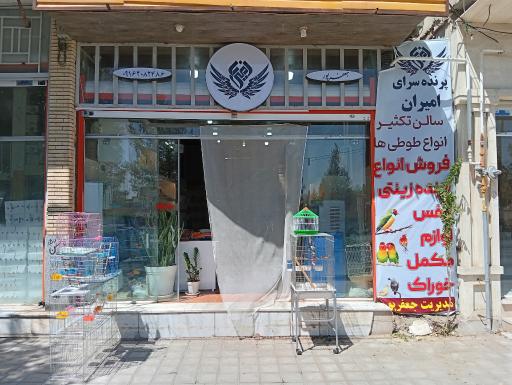 عکس پرنده سرای امیران