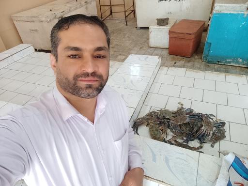 عکس بازار ماهی فروشان