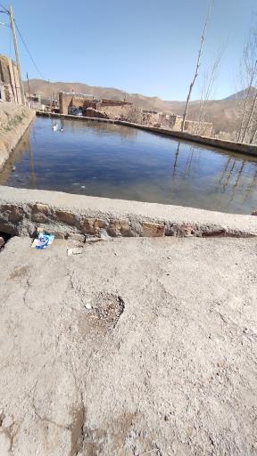 عکس بسک