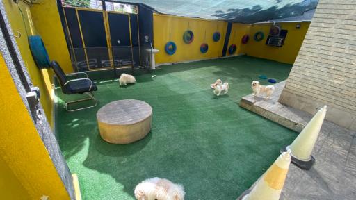 عکس پانسیون حیوانات خانگی رایا