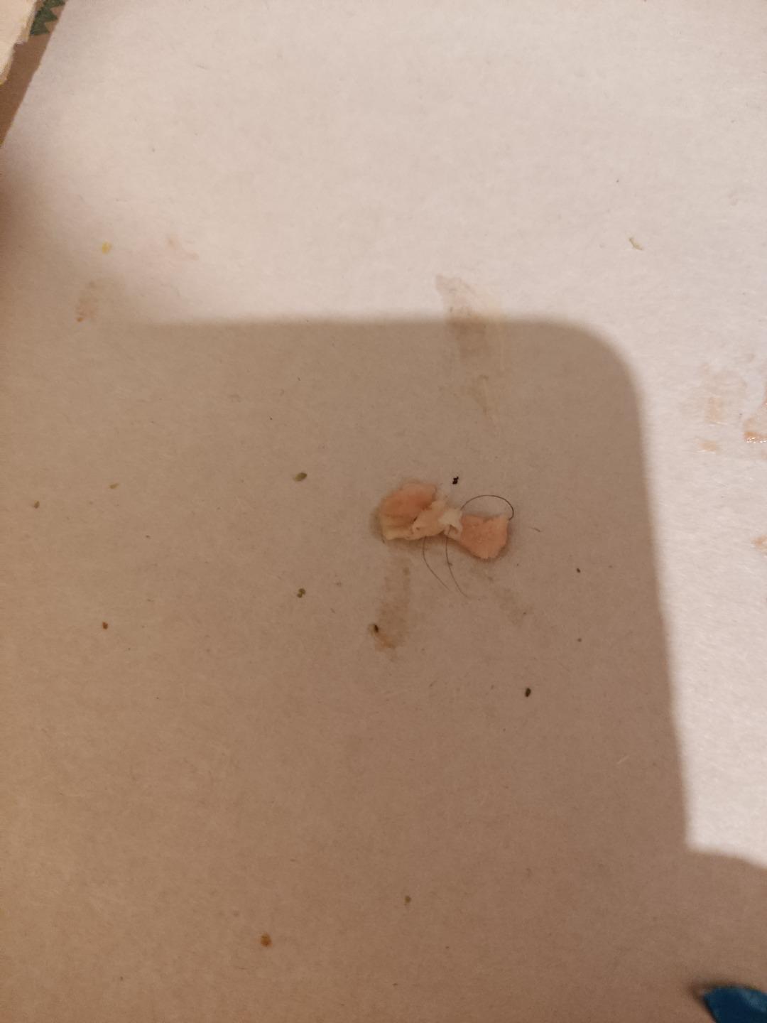 عکس فست‌فود فودلند‌