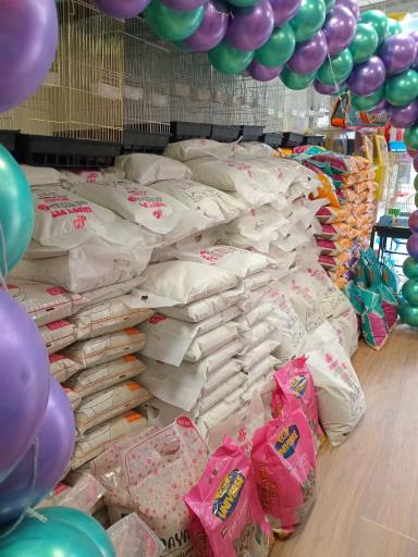 پامر پت شاپ