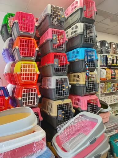 عکس پامر پت شاپ