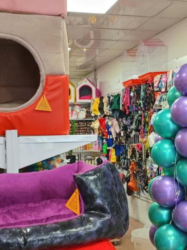 پامر پت شاپ