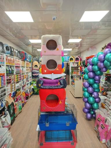 عکس پامر پت شاپ