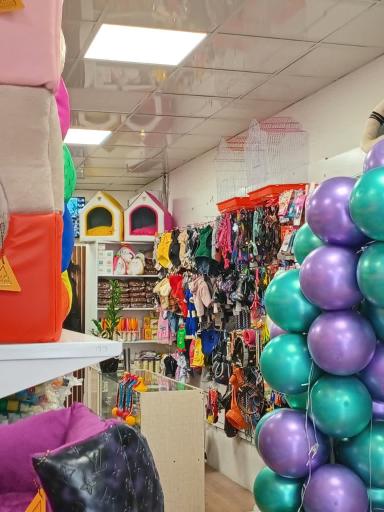 عکس پامر پت شاپ