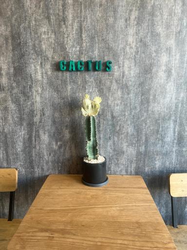 عکس کافه کاکتوس