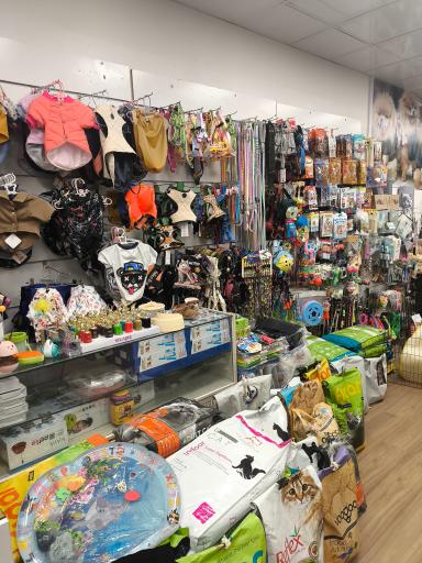 عکس پامر پت شاپ