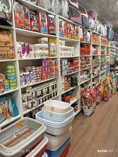 عکس پامر پت شاپ