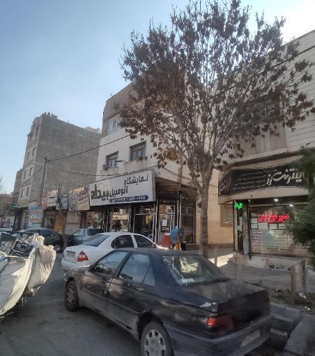 عکس نمایشگاه اتومبیل بیداد