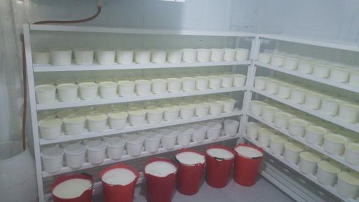 عکس لبنیات سنتی اصیل زرقان 