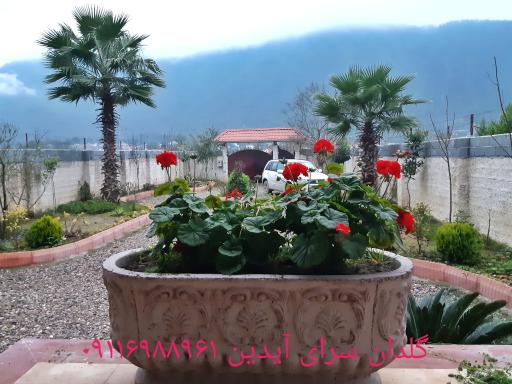 عکس آبنما مجسمه آیدین