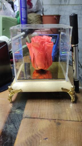 عکس گل فروشی نفس خاوران