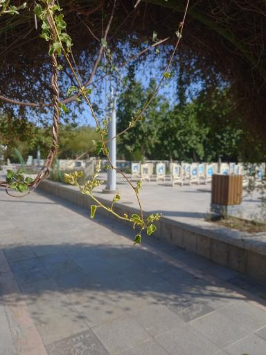 عکس گلستان شهدا