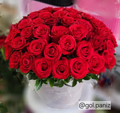 عکس گل فروشی پانیذ