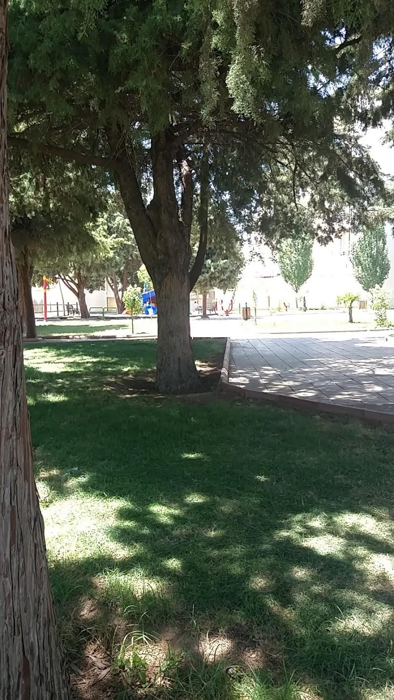 عکس بوستان صادق