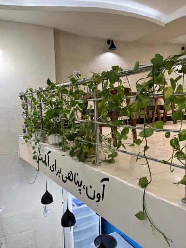 عکس کافه آوِن