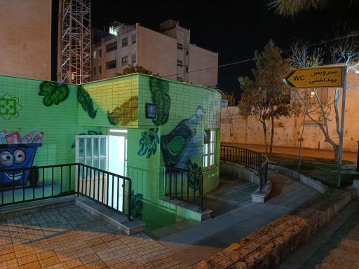 سرویس بهداشتی