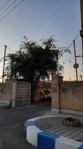 عکس منازل سازمانی شرکت نفت