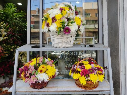 عکس گل فروشی ایریس