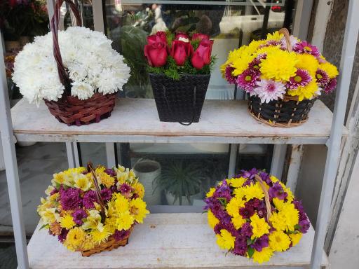 عکس گل فروشی ایریس