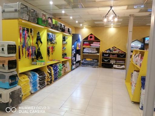 عکس کلینیک دامپزشکی دکتر اسماعیل نیا 