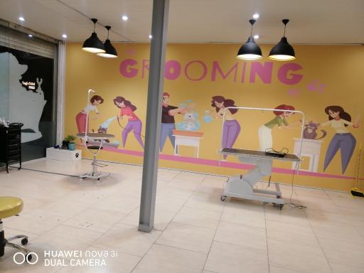 عکس کلینیک دامپزشکی دکتر اسماعیل نیا 