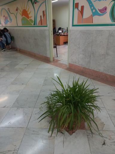 عکس آموزش و پرورش منطقه 7