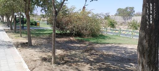 عکس بوستان امامزاده قاسم