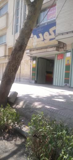 عکس موسسه زبان گویش (پروین)