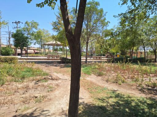 عکس بوستان امامزاده قاسم