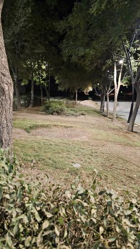 عکس بوستان امامزاده قاسم