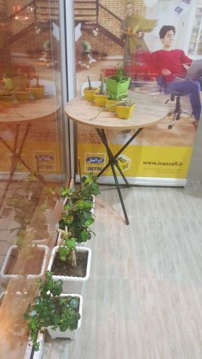 عکس دفتر ایرانسل سمیه سیدنوری