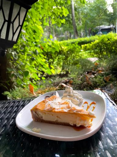 عکس کافه ویونا