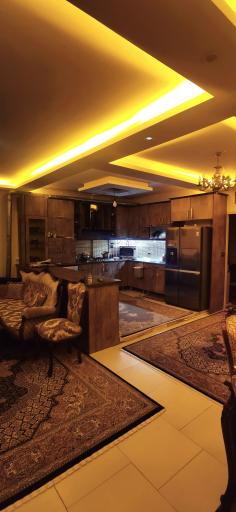 عکس الکتریکی شهباززاده 